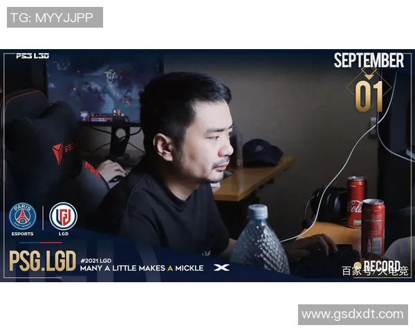 esports最新数据刘磊畅谈DOTA2职业生涯与成长历程的深度专访回顾